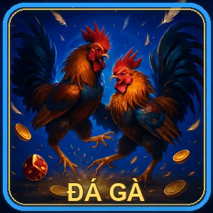 Đá gà cựa dao